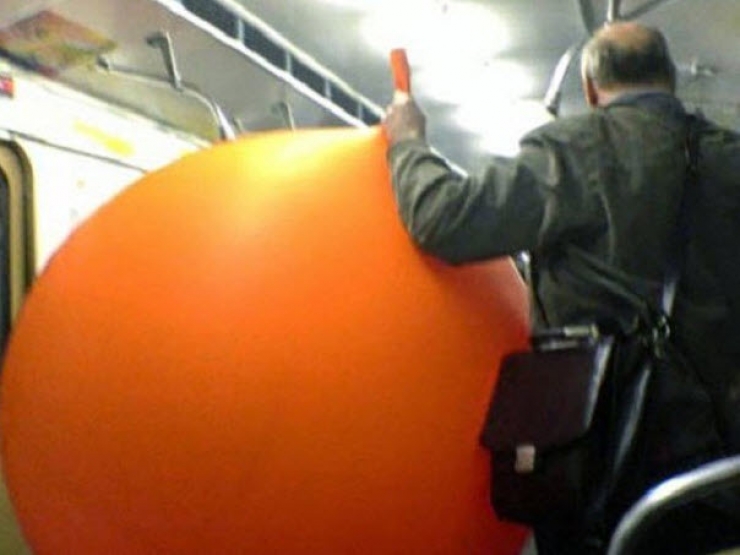 Illustration de l'article : Ces "belles" rencontres que l'on peut faire dans les transports en commun (20 photos)