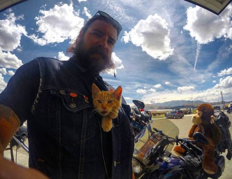 Illustration de l'article : Sauvé et soigné par un biker, ce chaton se met lui aussi à sillonner les routes à moto