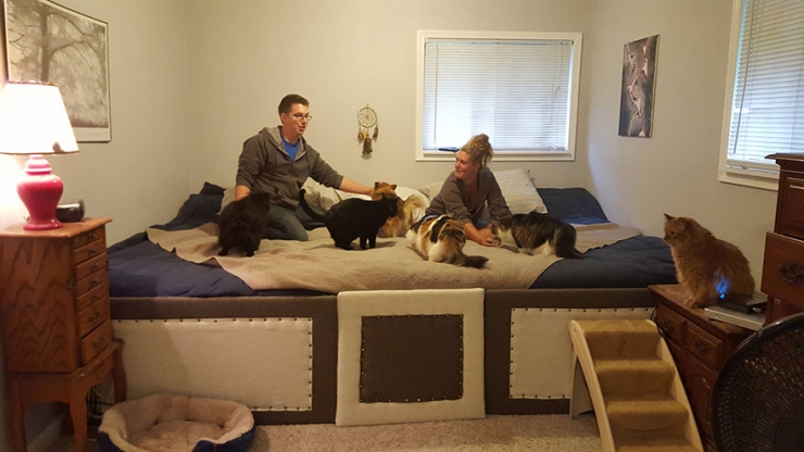 Illustration de l'article : Ce couple a 5 chats et 2 chiens et tout le monde veut dormir dans le même lit. La solution est toute trouvée