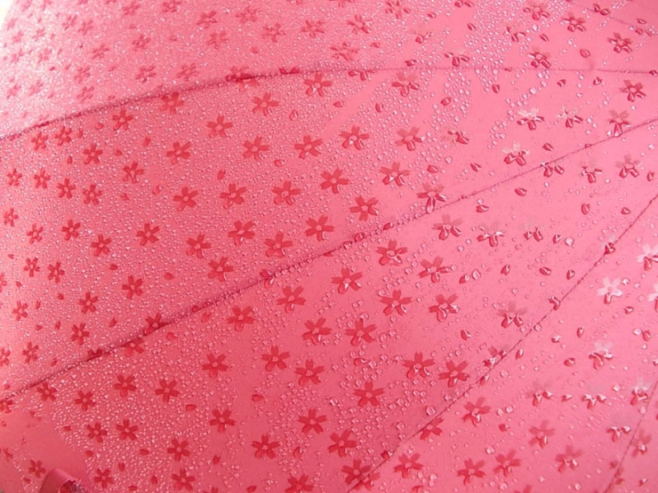 Illustration de l'article : Ces parapluies japonais ne r&eacute;v&egrave;lent leur secret que lorsqu'il pleut