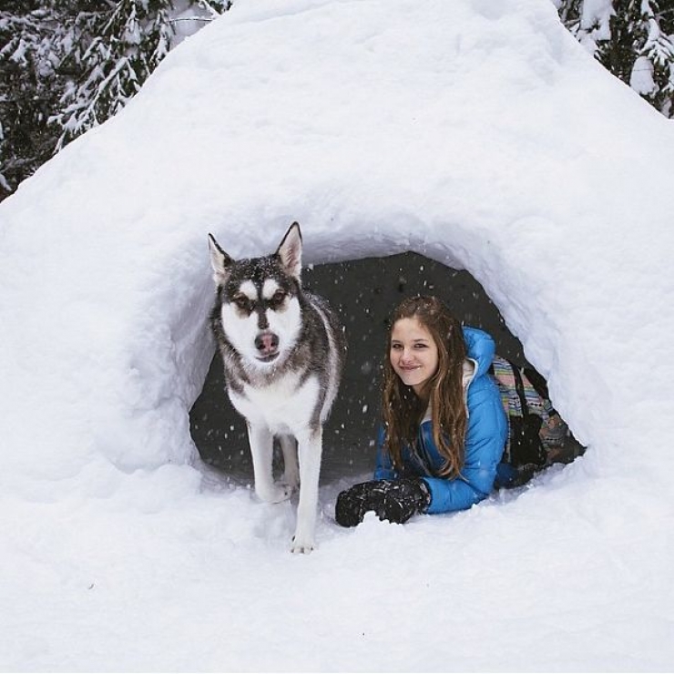 Illustration de l'article : Qui a dit que les chiens n'aimaient pas le Camping ? Ces 28 photos prouvent tout le contraire :)