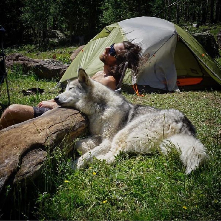 Illustration de l'article : Qui a dit que les chiens n'aimaient pas le Camping ? Ces 28 photos prouvent tout le contraire :)