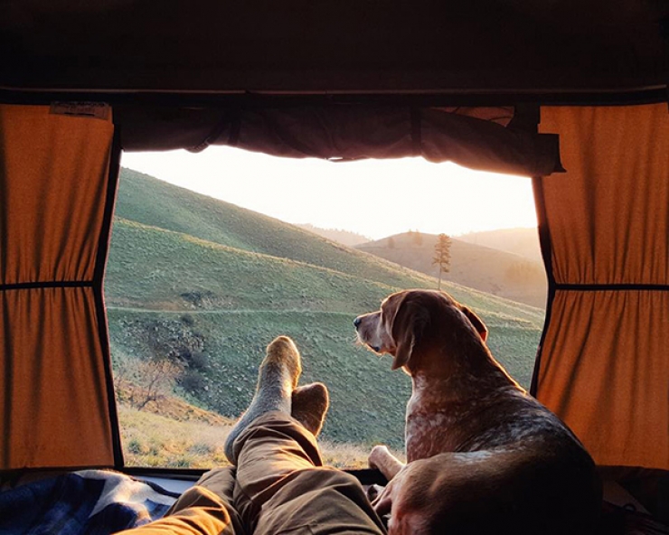 Illustration de l'article : Qui a dit que les chiens n'aimaient pas le Camping ? Ces 28 photos prouvent tout le contraire :)