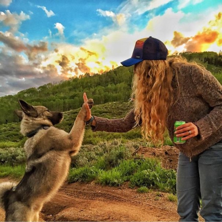 Illustration de l'article : Qui a dit que les chiens n'aimaient pas le Camping ? Ces 28 photos prouvent tout le contraire :)