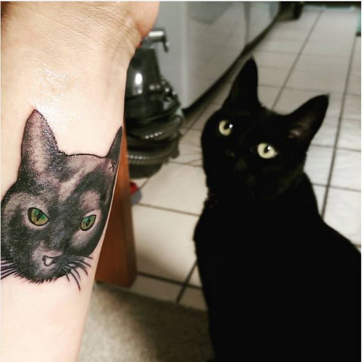 Illustration de l'article : Ces personnes qui ont choisi de se faire tatouer les portraits de leurs chats adorés