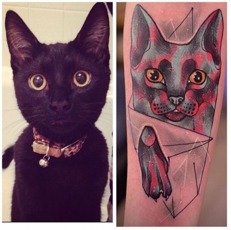 Illustration de l'article : Ces personnes qui ont choisi de se faire tatouer les portraits de leurs chats adorés
