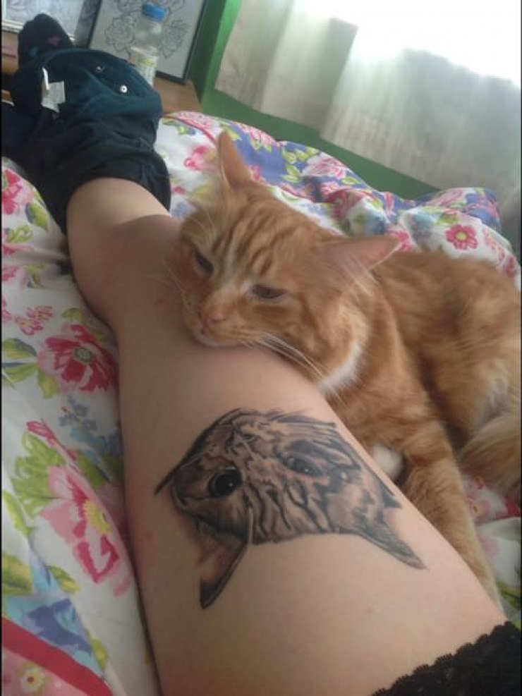 Illustration de l'article : Ces personnes qui ont choisi de se faire tatouer les portraits de leurs chats adorés