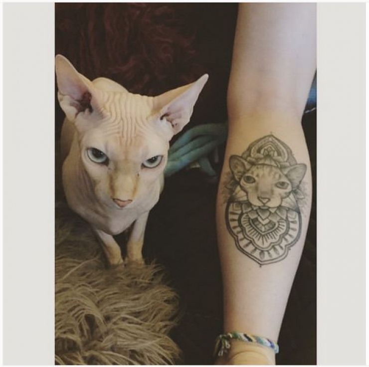 Illustration de l'article : Ces personnes qui ont choisi de se faire tatouer les portraits de leurs chats adorés
