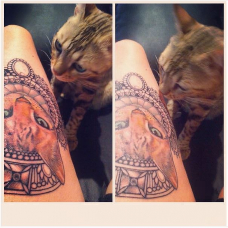 Illustration de l'article : Ces personnes qui ont choisi de se faire tatouer les portraits de leurs chats adorés
