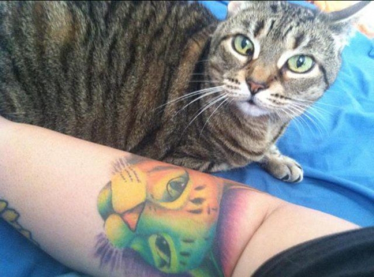Illustration de l'article : Ces personnes qui ont choisi de se faire tatouer les portraits de leurs chats adorés