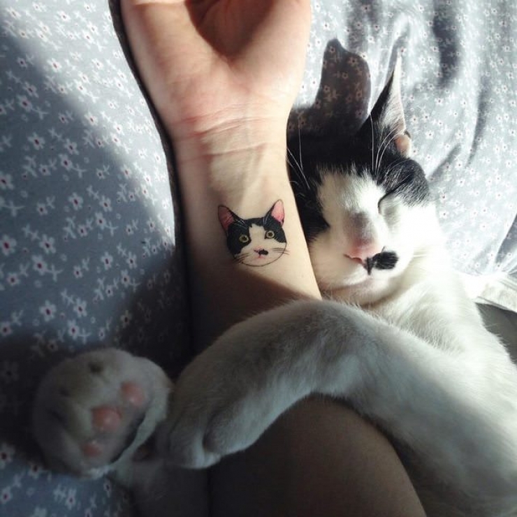 Illustration de l'article : Ces personnes qui ont choisi de se faire tatouer les portraits de leurs chats adorés
