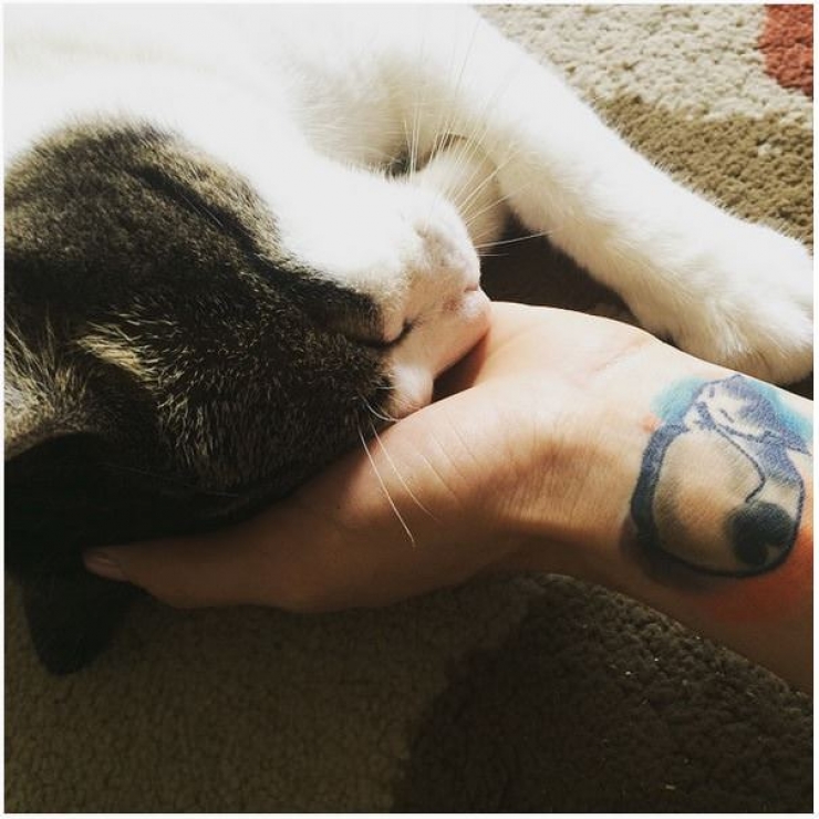 Illustration de l'article : Ces personnes qui ont choisi de se faire tatouer les portraits de leurs chats adorés