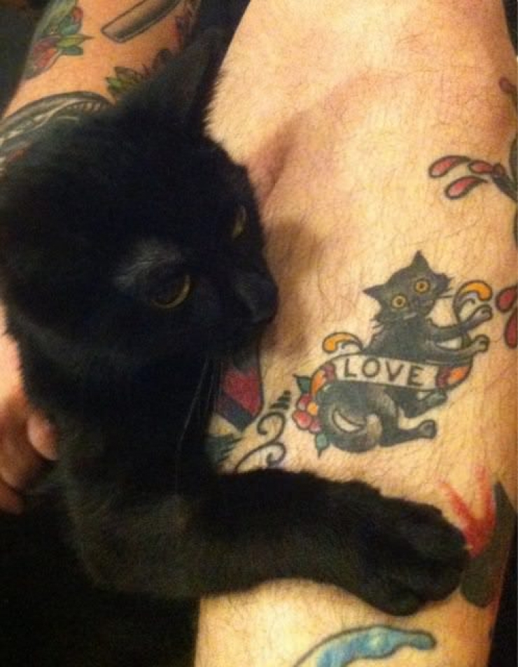 Illustration de l'article : Ces personnes qui ont choisi de se faire tatouer les portraits de leurs chats adorés