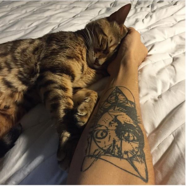 Illustration de l'article : Ces personnes qui ont choisi de se faire tatouer les portraits de leurs chats adorés