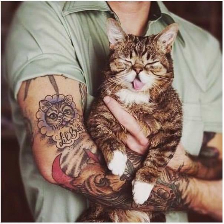 Illustration de l'article : Ces personnes qui ont choisi de se faire tatouer les portraits de leurs chats adorés