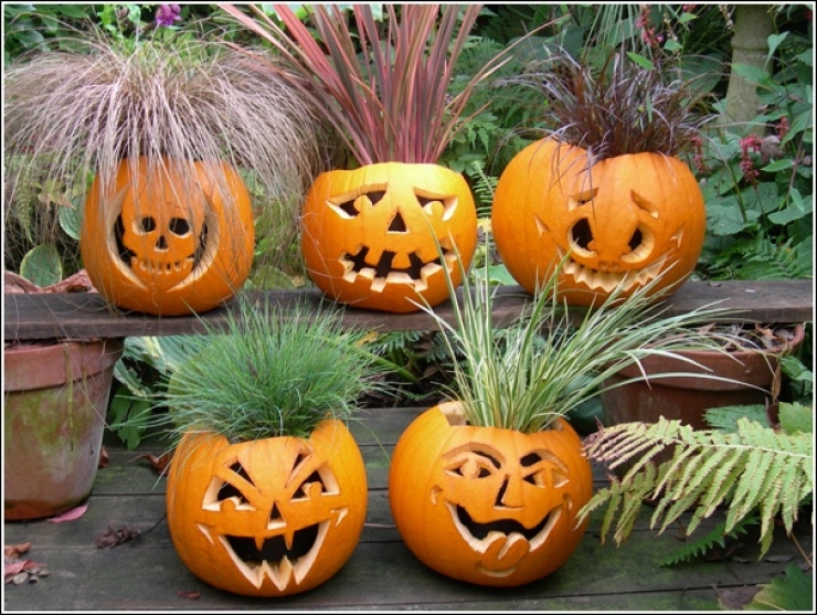 Illustration de l'article : En manque d'idées pour Halloween ? Ces 70 photos devraient vous aider...