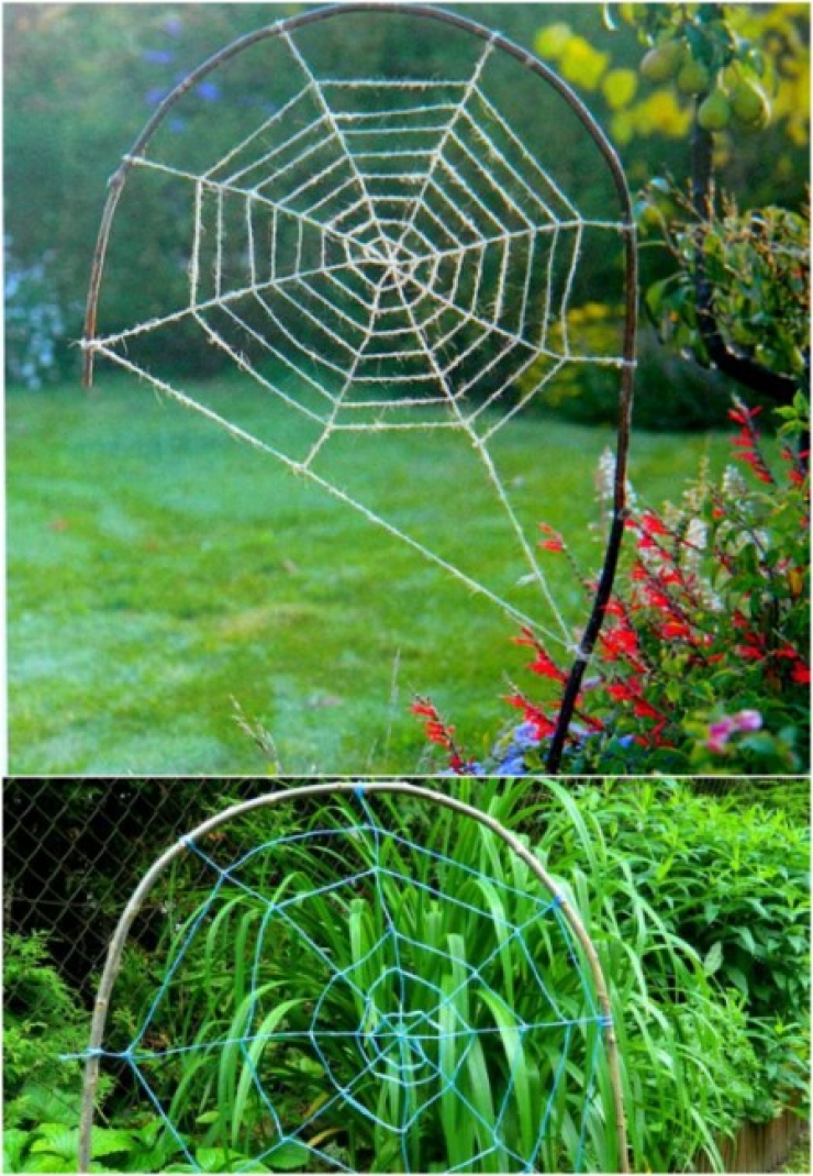 Illustration de l'article : En manque d'idées pour Halloween ? Ces 70 photos devraient vous aider...