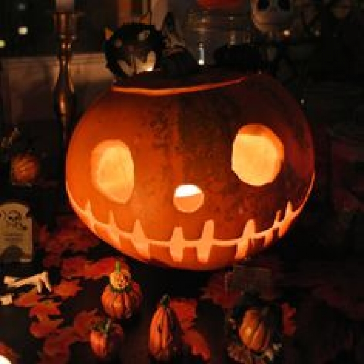 Illustration de l'article : En manque d'idées pour Halloween ? Ces 70 photos devraient vous aider...