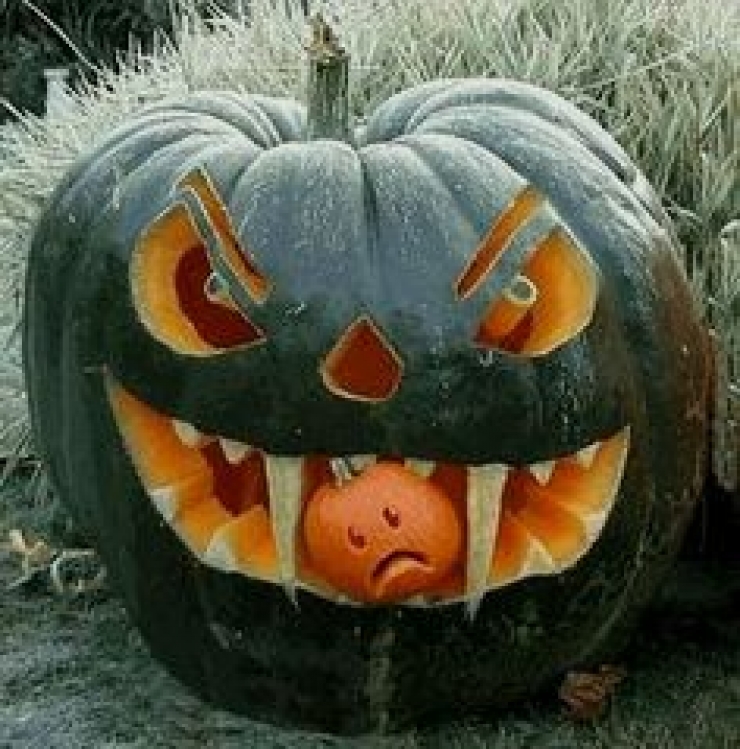 Illustration de l'article : En manque d'idées pour Halloween ? Ces 70 photos devraient vous aider...