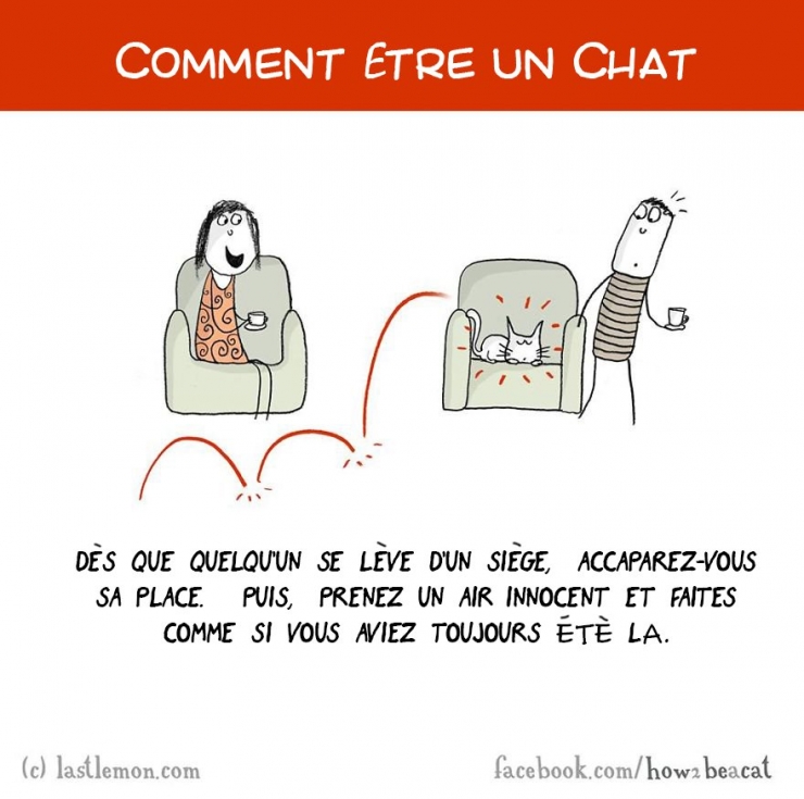 Illustration de l'article : Vous avez toujours rêvé d'être un chat ? Voici 20 illustrations pour y arriver...
