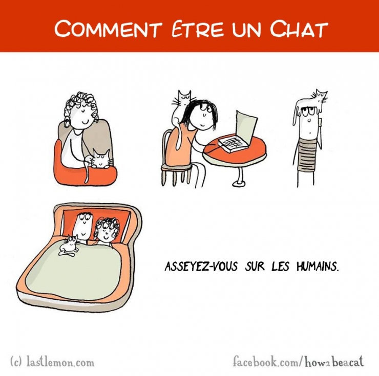 Illustration de l'article : Vous avez toujours rêvé d'être un chat ? Voici 20 illustrations pour y arriver...