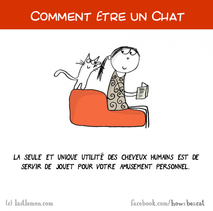 Illustration de l'article : Vous avez toujours rêvé d'être un chat ? Voici 20 illustrations pour y arriver...