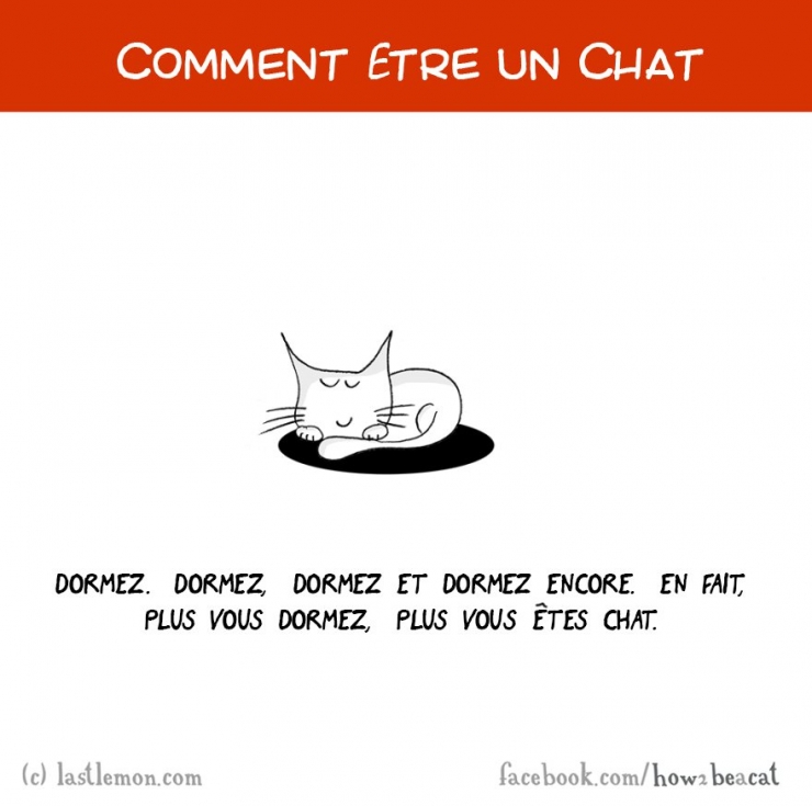 Illustration de l'article : Vous avez toujours rêvé d'être un chat ? Voici 20 illustrations pour y arriver...