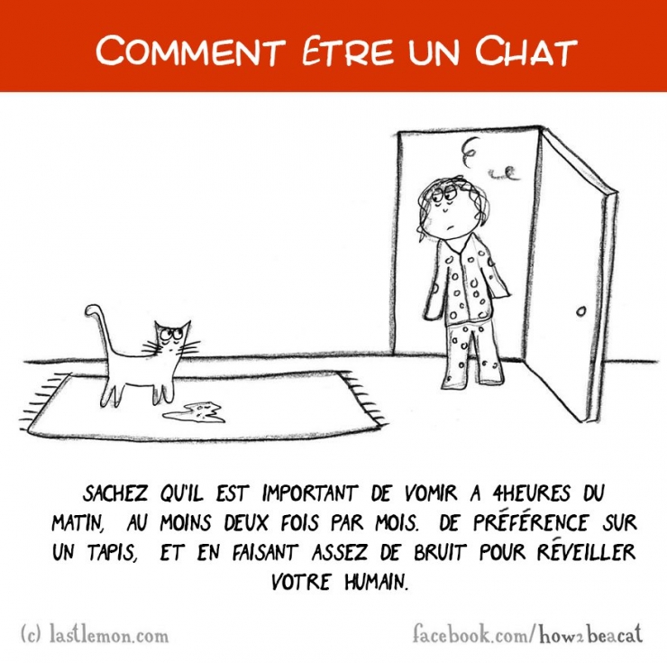 Illustration de l'article : Vous avez toujours rêvé d'être un chat ? Voici 20 illustrations pour y arriver...