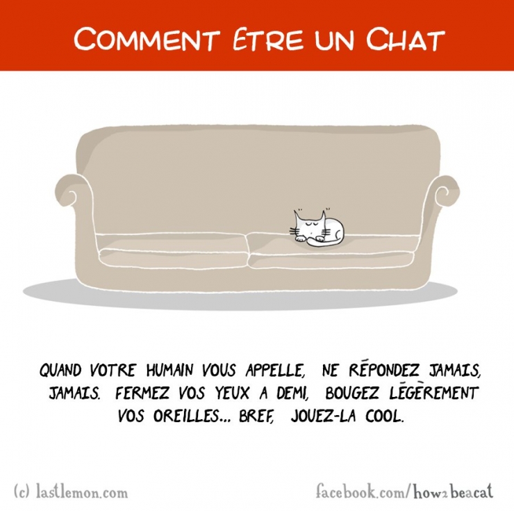 Illustration de l'article : Vous avez toujours rêvé d'être un chat ? Voici 20 illustrations pour y arriver...