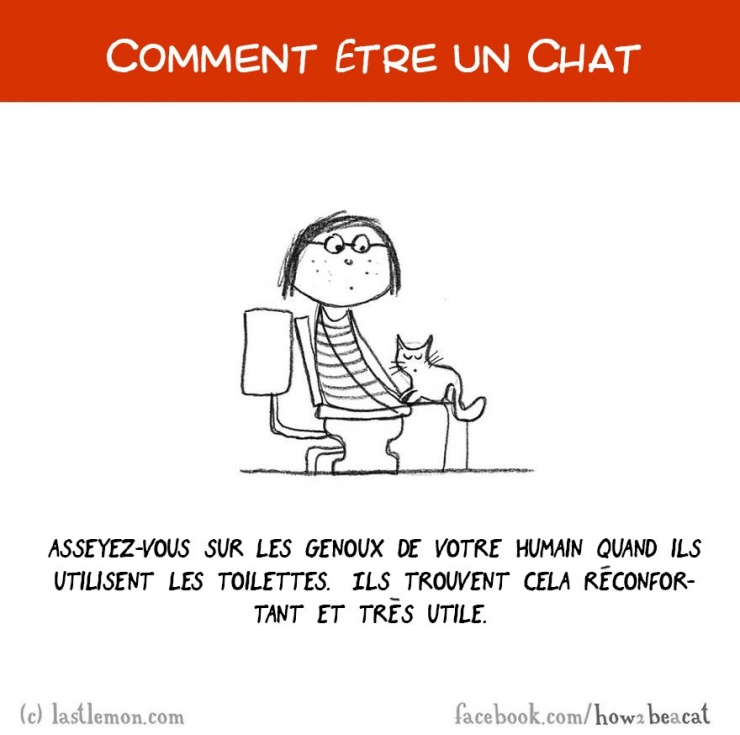 Illustration de l'article : Vous avez toujours rêvé d'être un chat ? Voici 20 illustrations pour y arriver...