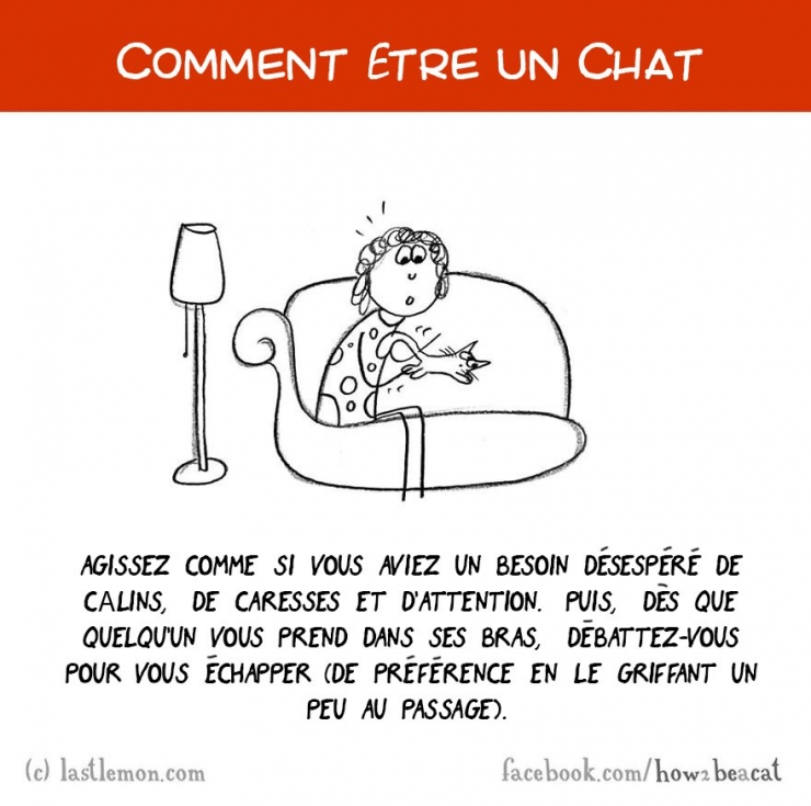 Illustration de l'article : Vous avez toujours rêvé d'être un chat ? Voici 20 illustrations pour y arriver...