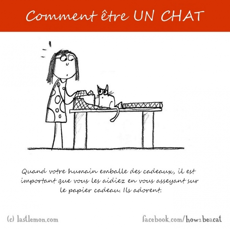 Illustration de l'article : Vous avez toujours rêvé d'être un chat ? Voici 20 illustrations pour y arriver...