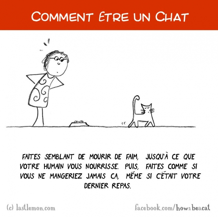 Illustration de l'article : Vous avez toujours rêvé d'être un chat ? Voici 20 illustrations pour y arriver...