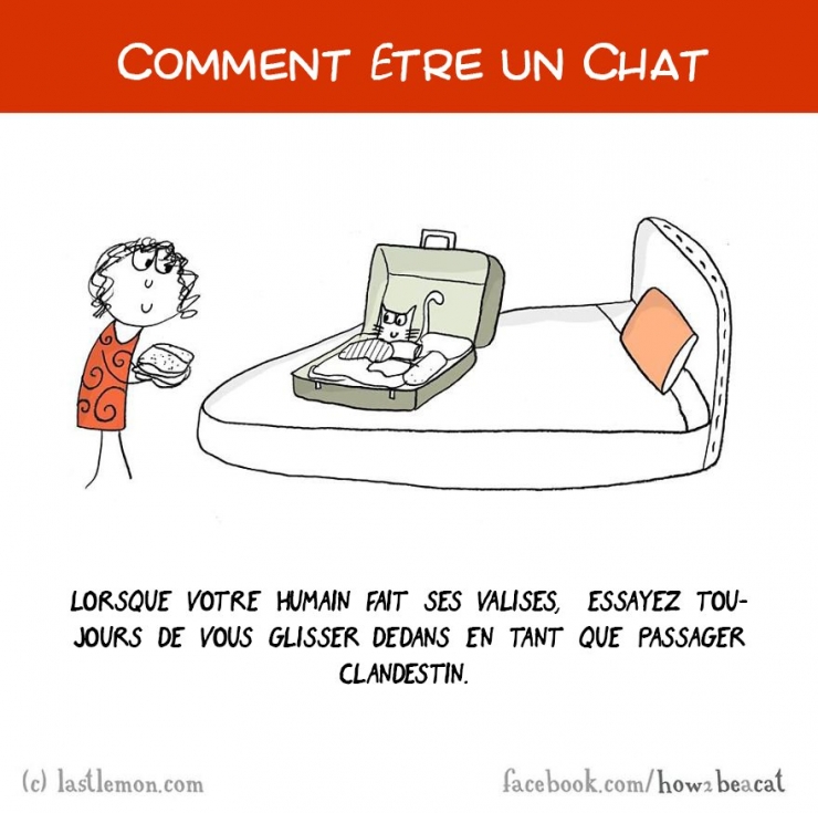 Illustration de l'article : Vous avez toujours rêvé d'être un chat ? Voici 20 illustrations pour y arriver...