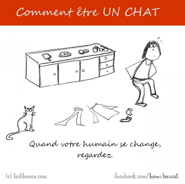 Illustration de l'article : Vous avez toujours rêvé d'être un chat ? Voici 20 illustrations pour y arriver...