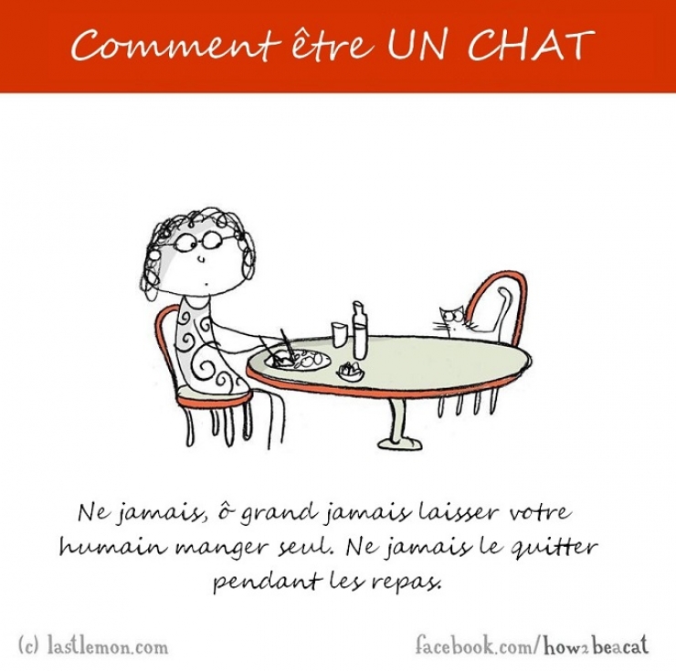 Illustration de l'article : Vous avez toujours rêvé d'être un chat ? Voici 20 illustrations pour y arriver...