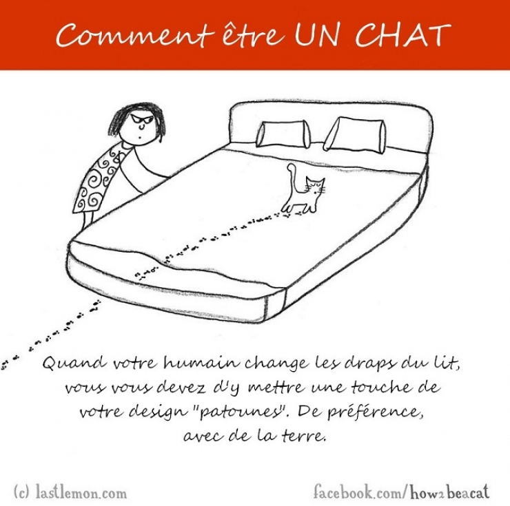 Illustration de l'article : Vous avez toujours rêvé d'être un chat ? Voici 20 illustrations pour y arriver...