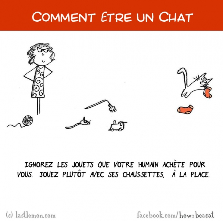 Illustration de l'article : Vous avez toujours rêvé d'être un chat ? Voici 20 illustrations pour y arriver...