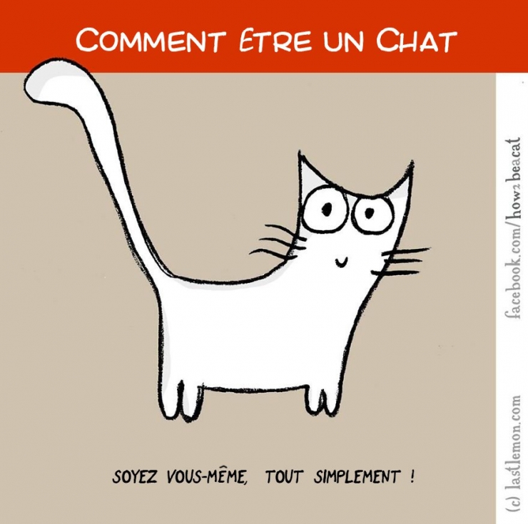 Illustration de l'article : Vous avez toujours rêvé d'être un chat ? Voici 20 illustrations pour y arriver...