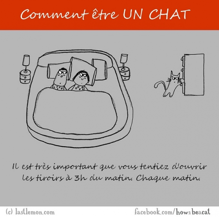 Illustration de l'article : Vous avez toujours rêvé d'être un chat ? Voici 20 illustrations pour y arriver...