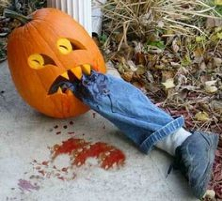 Illustration de l'article : 50 photos pour vous aider à décorer vos citrouilles pour Halloween...