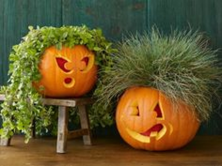 Illustration de l'article : 50 photos pour vous aider à décorer vos citrouilles pour Halloween...