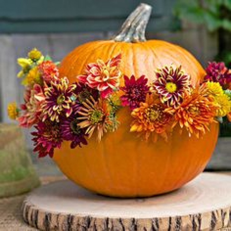 Illustration de l'article : 50 photos pour vous aider à décorer vos citrouilles pour Halloween...