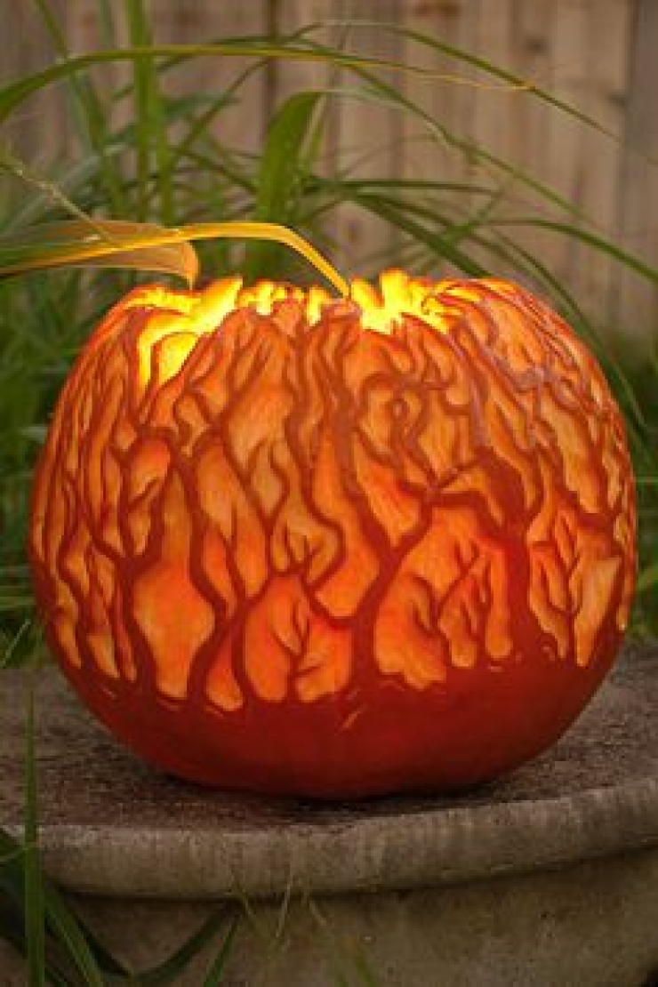 Illustration de l'article : 50 photos pour vous aider à décorer vos citrouilles pour Halloween...