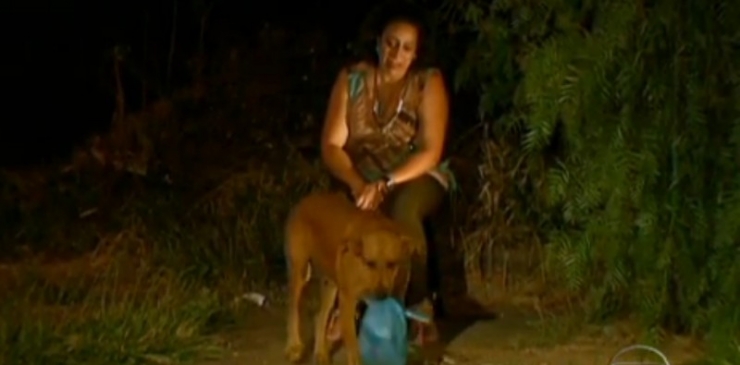 Illustration de l'article : Tous les soirs, cette chienne transporte ce sac ! Son contenu va vous surprendre...