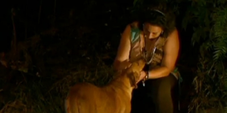 Illustration de l'article : Tous les soirs, cette chienne transporte ce sac ! Son contenu va vous surprendre...