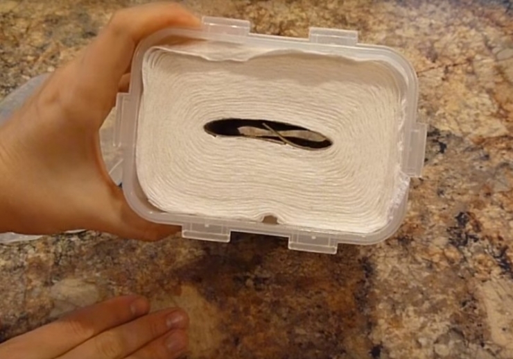 Illustration de l'article : Brillant: Elle coupe un rouleau en deux et le mouille enti&egrave;rement... Vous devez essayer cette astuce chez vous !