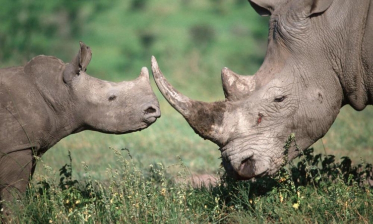 Illustration de l'article : Top 14 des mati&egrave;res les plus ch&egrave;res au monde ! Dire que l&rsquo;or n&rsquo;est qu'en 13 &egrave;me position...