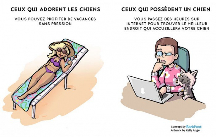Illustration de l'article : Aimer un chien et en avoir un... Deux choses bien différentes ! Voici 7 différences flagrantes...
