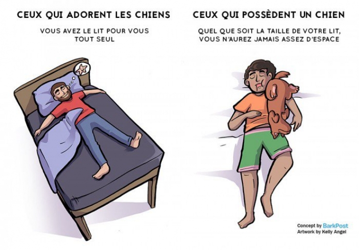 Illustration de l'article : Aimer un chien et en avoir un... Deux choses bien différentes ! Voici 7 différences flagrantes...